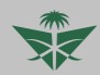Saudi Arabia Airlines