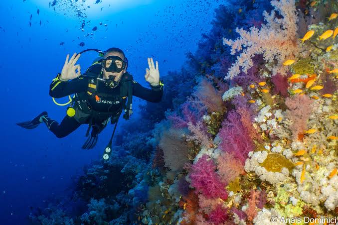Diving