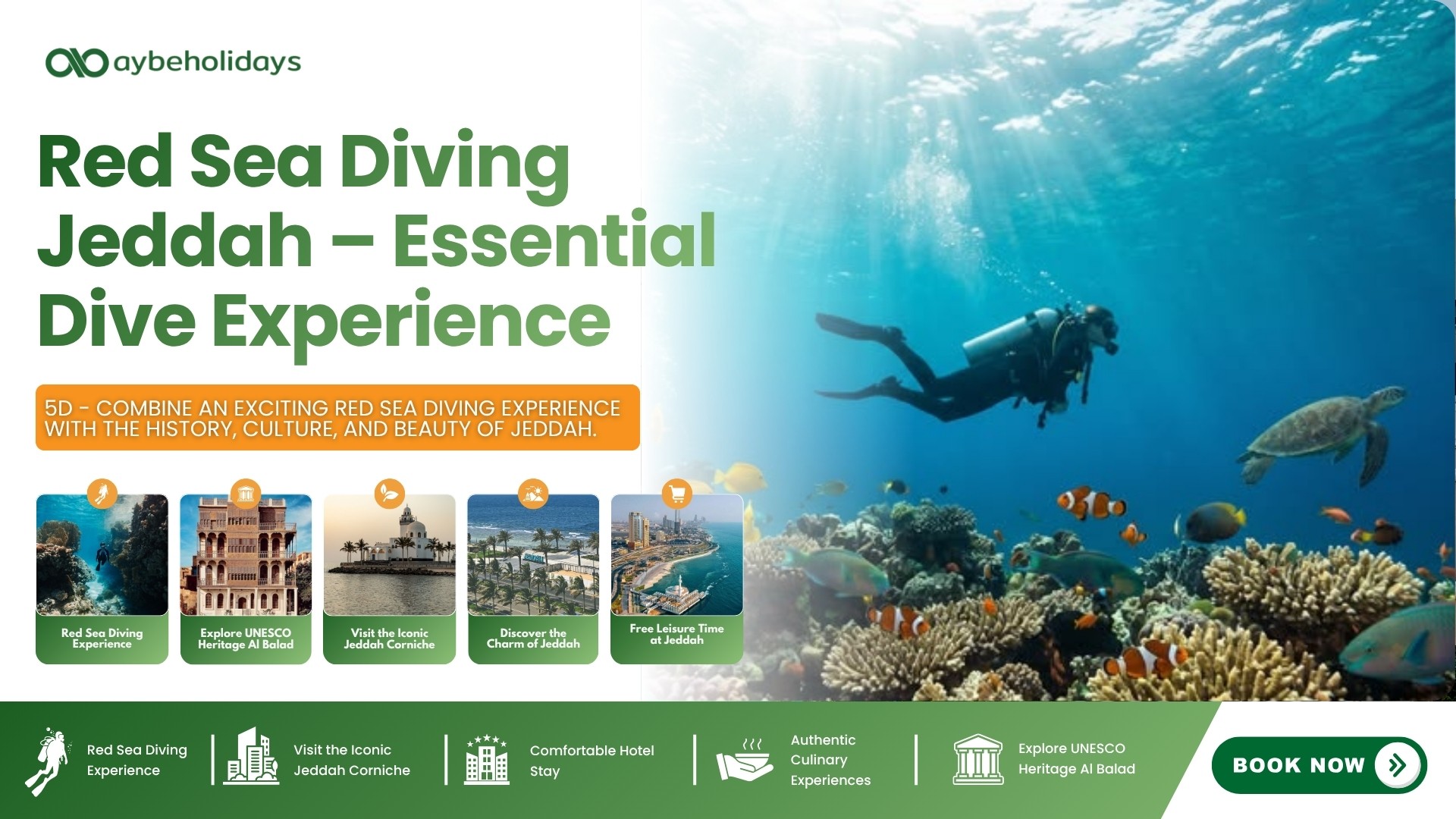 Red Sea Diving Jeddah – Essential Dive Experience main photo