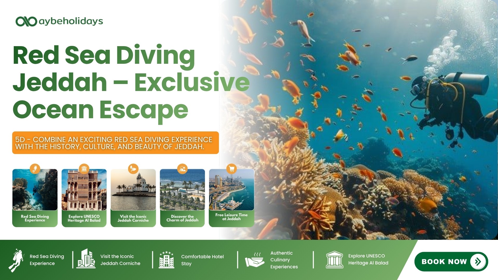 Red Sea Diving Jeddah – Exclusive Ocean Escape main photo
