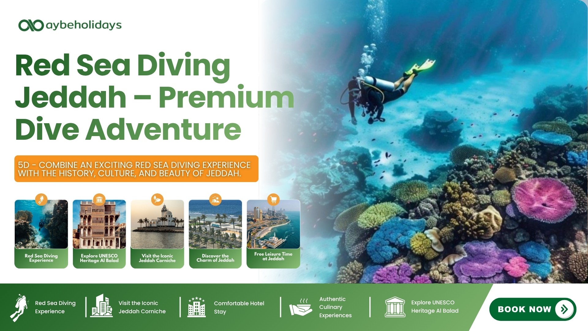 Red Sea Diving Jeddah – Premium Dive Adventure main photo