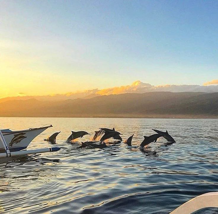 The Ultimate Bali Experience 9 Days